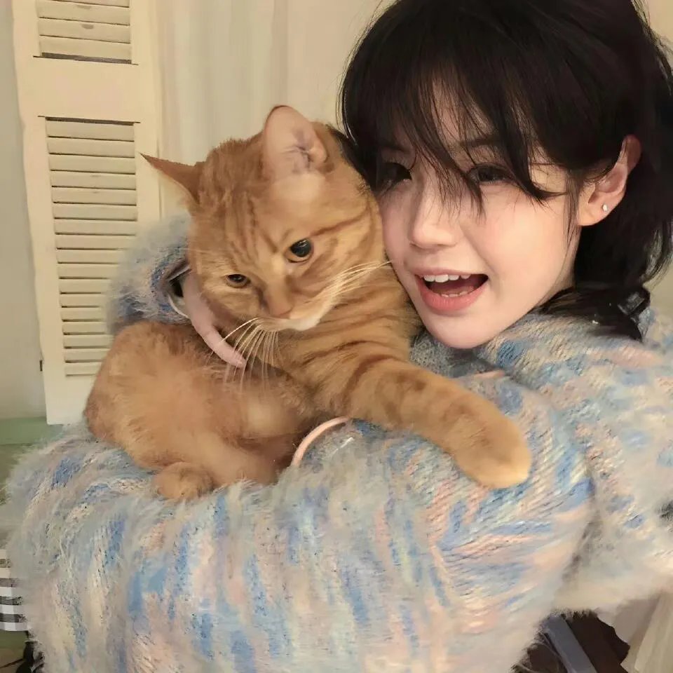 白莲花