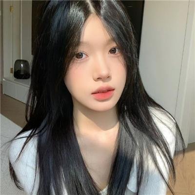 狐狸捕手